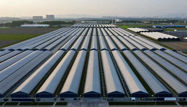 企业运营咨询选型中的关键考量因素